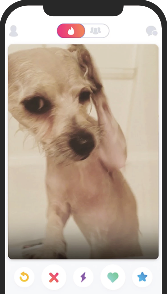 Tindog